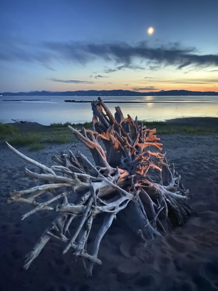 a dusk sunset with upturned stump in the foreground its roots reflecting the orange of the nearby camp fire