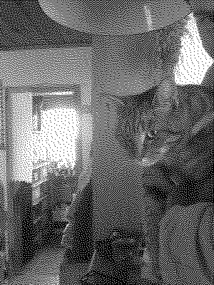 black and white photo of a cat
